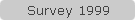 Survey 1999